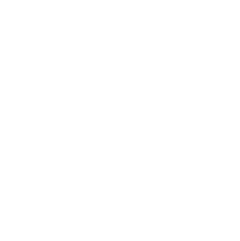 SIGN V Logo